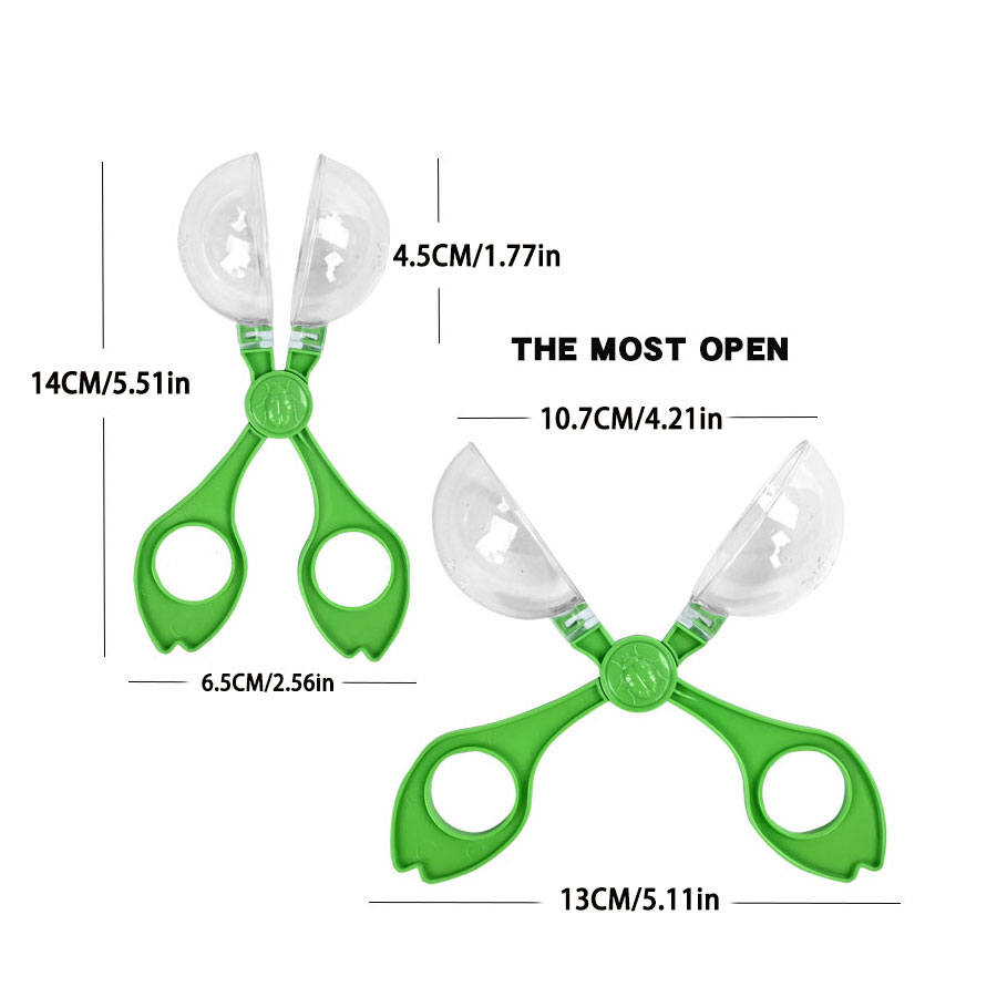Açık Hava Macerası Böcek Kolek - Outdoor Adventure Education incelemesi ve fiyatı